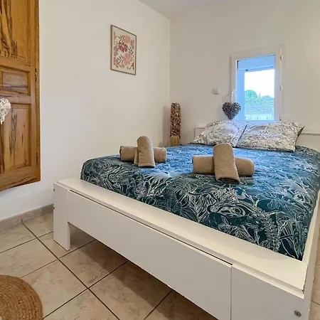 Pet Friendly In