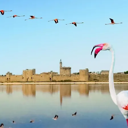 Prázdninový dům Awesome In *