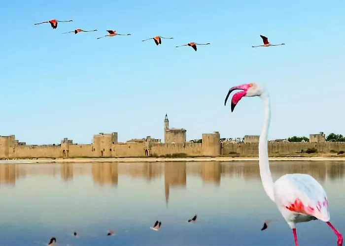 Casa de Férias Awesome In *